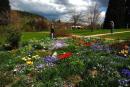 Praga - Ogród botaniczny w Troji Praga - Ogród botaniczny w Troji