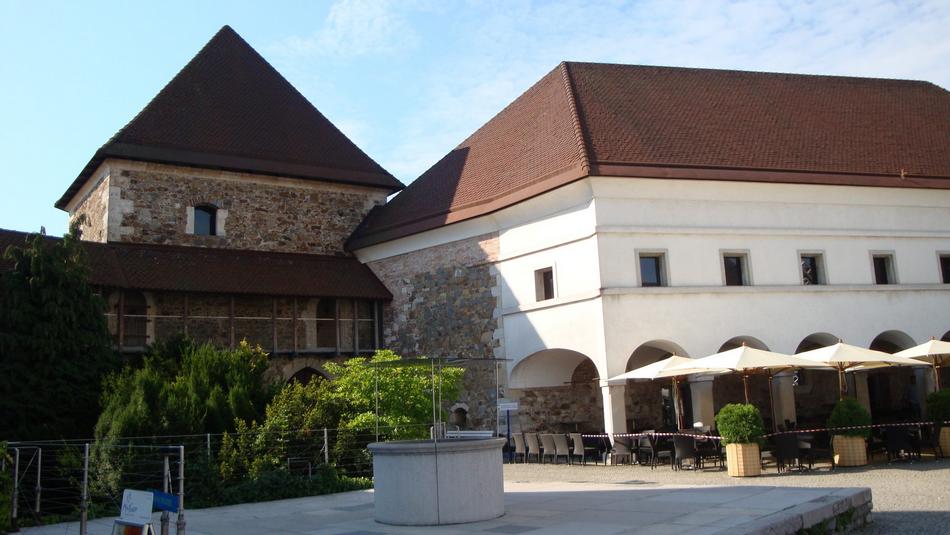 Zamek w Lublanie