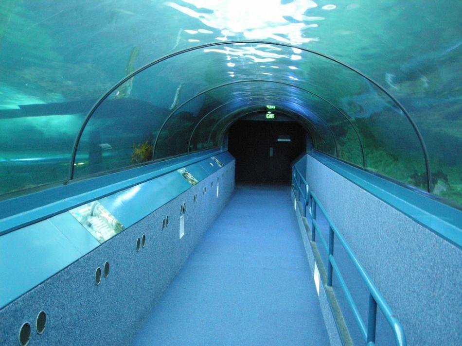 Aquarium w Sydney