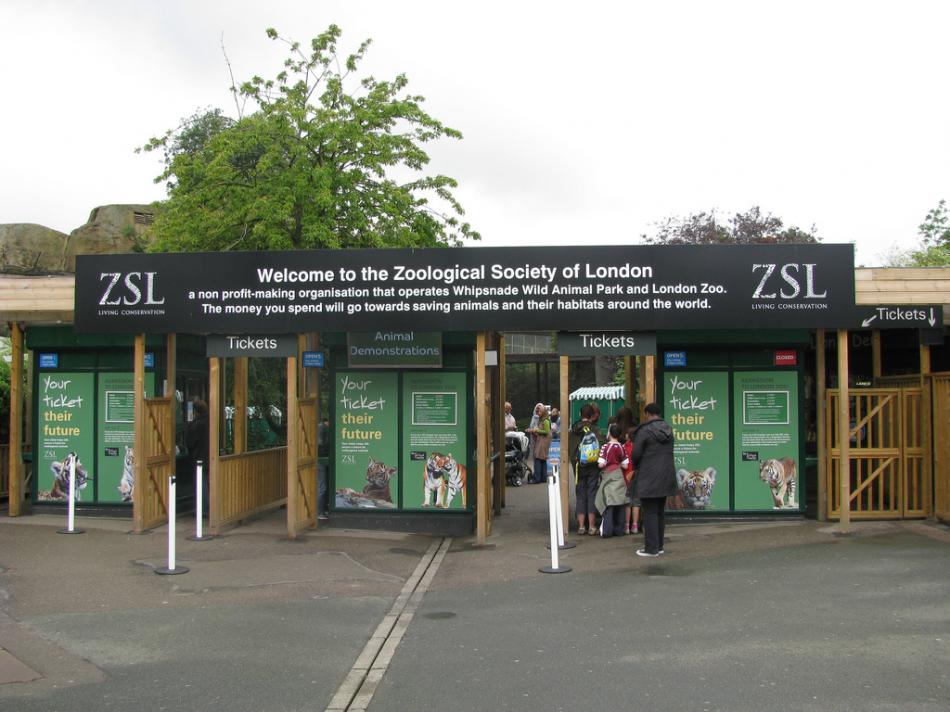 Londyskie Zoo